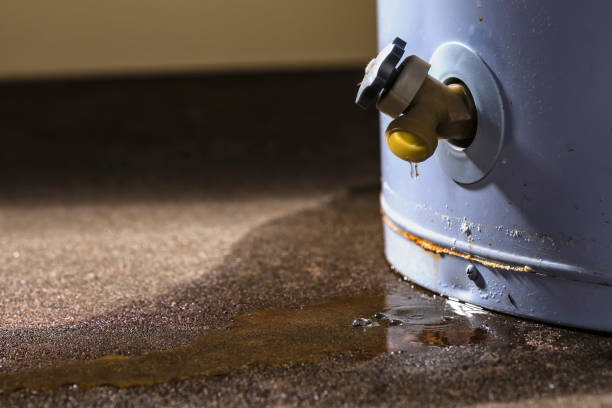 Best Water damage cleanup near me  in Lower Grand Lagoon, FL