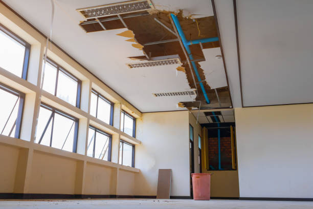 Best Fire Damage Restoration  in Lower Grand Lagoon, FL
