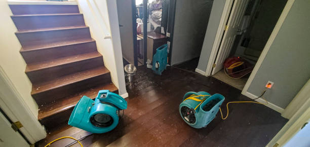 Best Sewage cleanup and water damage restoration  in Lower Grand Lagoon, FL