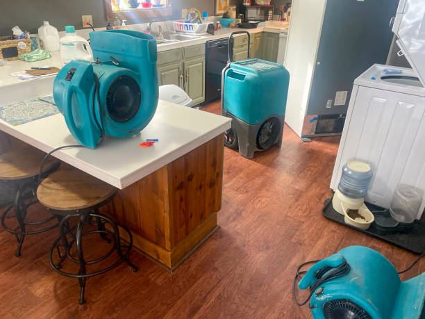 Best Flood restoration services  in Lower Grand Lagoon, FL