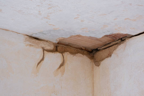 Best Basement water damage restoration  in Lower Grand Lagoon, FL