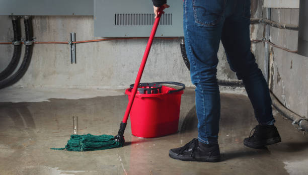 Best Local water damage restoration  in Lower Grand Lagoon, FL