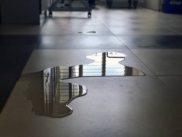 Best 24-hour water damage restoration  in Lower Grand Lagoon, FL