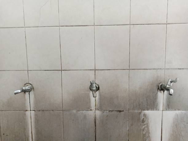 Best Carpet water damage restoration  in Lower Grand Lagoon, FL