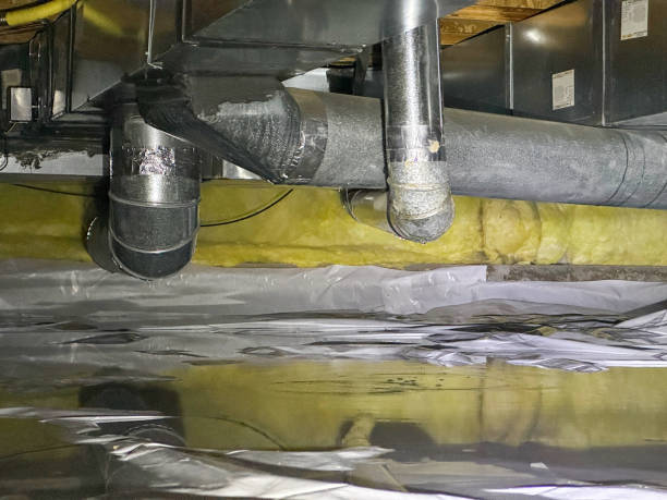 Best Water damage repair service  in Lower Grand Lagoon, FL