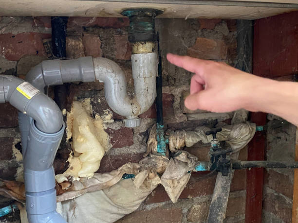 Best Local water damage restoration  in Lower Grand Lagoon, FL