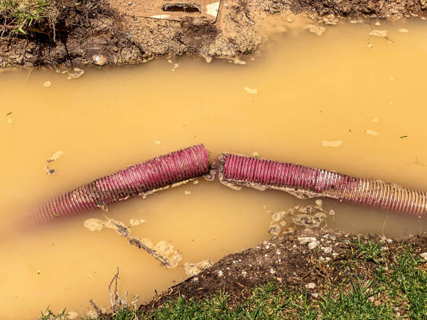 Best Emergency water damage restoration  in Lower Grand Lagoon, FL